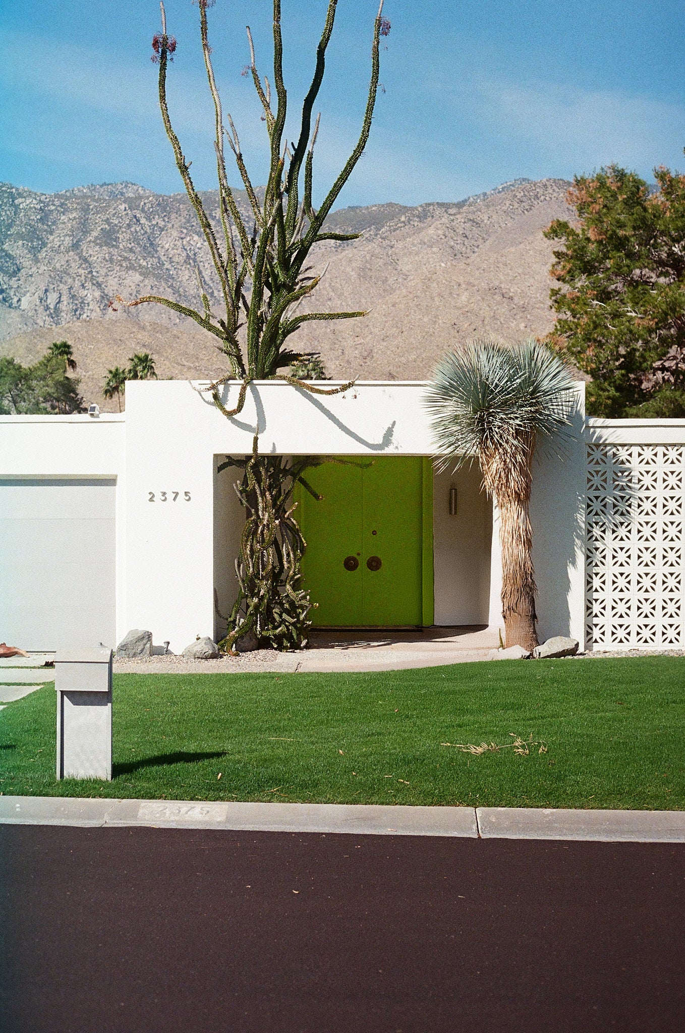 GREEN - Wild welcome